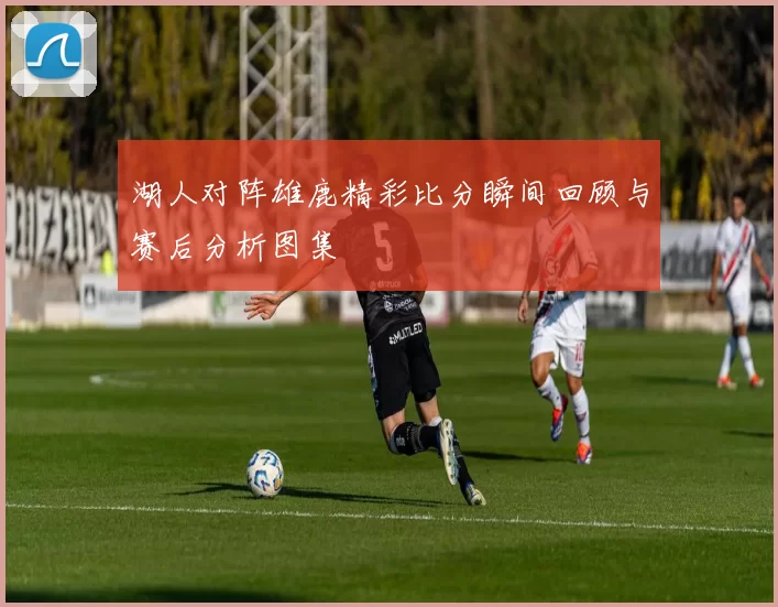 湖人对阵雄鹿精彩比分瞬间回顾与赛后分析图集