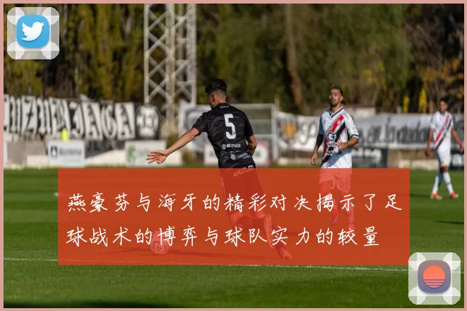 燕豪芬与海牙的精彩对决揭示了足球战术的博弈与球队实力的较量