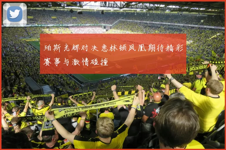 珀斯光辉对决惠林顿凤凰期待精彩赛事与激情碰撞