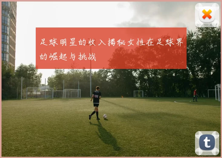 足球明星的收入揭秘女性在足球界的崛起与挑战